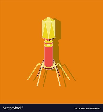 Paper sticker on stylish background bacteriophage vector image