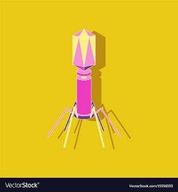 Paper sticker on stylish background bacteriophage vector image