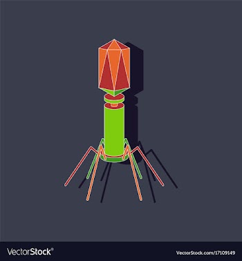 Paper sticker on stylish background bacteriophage vector image