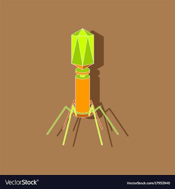 Paper sticker on stylish background bacteriophage vector image