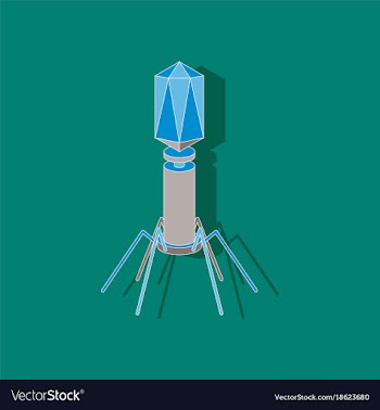Paper sticker on stylish background bacteriophage vector image