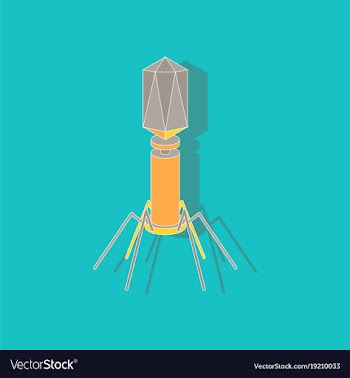 Paper sticker on stylish background bacteriophage vector image