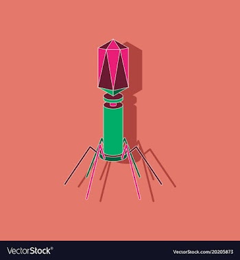 Paper sticker on stylish background bacteriophage vector image