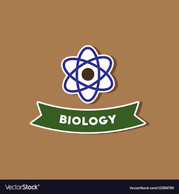 Paper sticker on stylish background biology vector image
