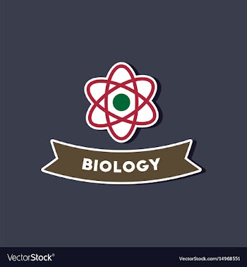 Paper sticker on stylish background biology vector image
