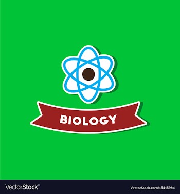Paper sticker on stylish background biology vector image