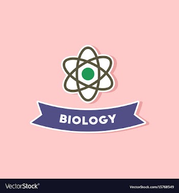 Paper sticker on stylish background biology vector image