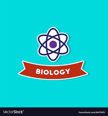 Paper sticker on stylish background biology vector image
