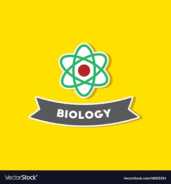 Paper sticker on stylish background biology vector image