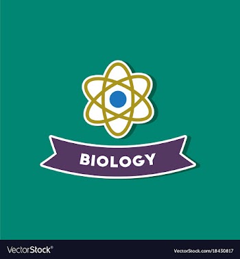 Paper sticker on stylish background biology vector image