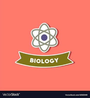 Paper sticker on stylish background biology vector image