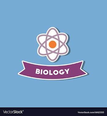 Paper sticker on stylish background biology vector image