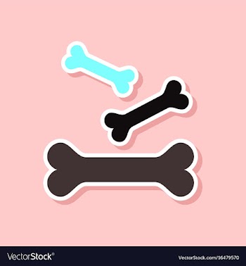 Paper sticker on stylish background bones for pets vector image