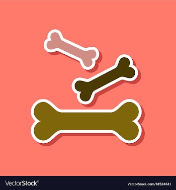 Paper sticker on stylish background bones for pets vector image