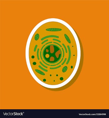 Paper sticker on stylish background cell vector image