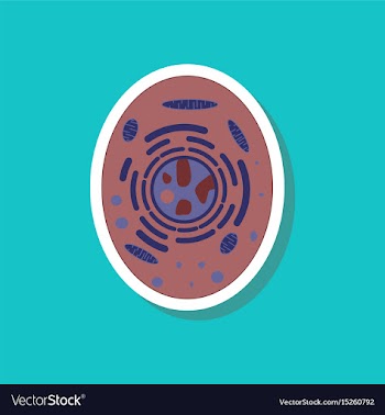 Paper sticker on stylish background cell vector image