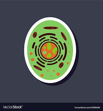 Paper sticker on stylish background cell vector image