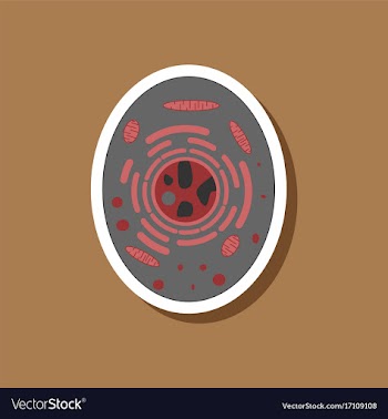 Paper sticker on stylish background cell vector image