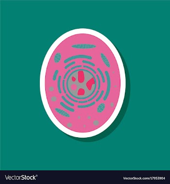 Paper sticker on stylish background cell vector image