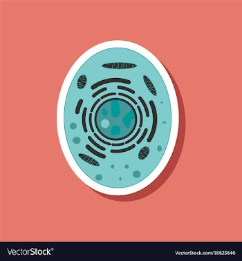 Paper sticker on stylish background cell vector image