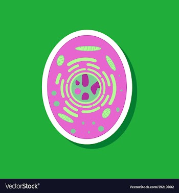 Paper sticker on stylish background cell vector image