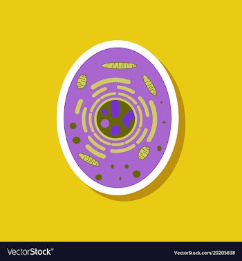 Paper sticker on stylish background cell vector image