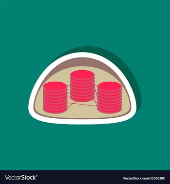 Paper sticker on stylish background chloroplast vector image