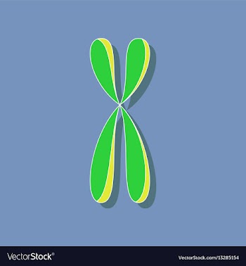 Paper sticker on stylish background chromosome vector image