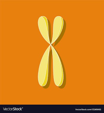 Paper sticker on stylish background chromosome vector image