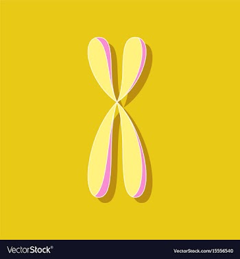 Paper sticker on stylish background chromosome vector image