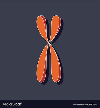 Paper sticker on stylish background chromosome vector image