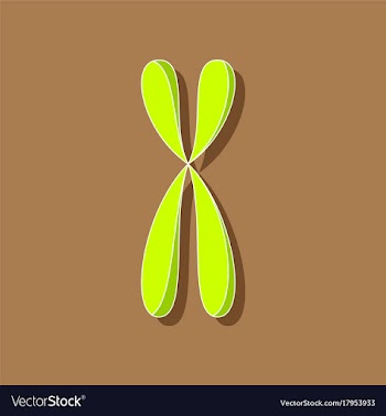 Paper sticker on stylish background chromosome vector image