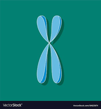 Paper sticker on stylish background chromosome vector image