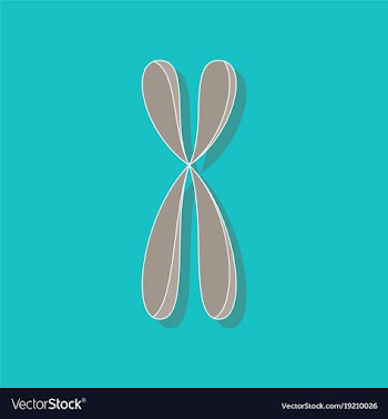 Paper sticker on stylish background chromosome vector image