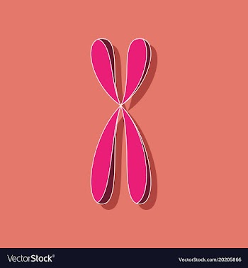 Paper sticker on stylish background chromosome vector image