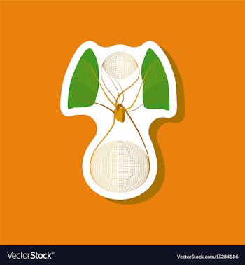 Paper sticker on stylish background circulatory vector image