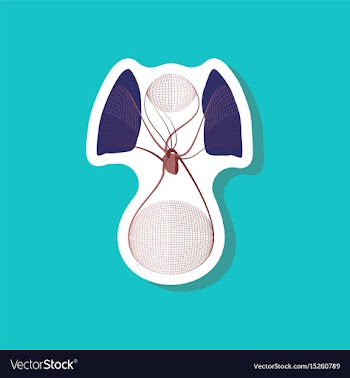 Paper sticker on stylish background circulatory vector image