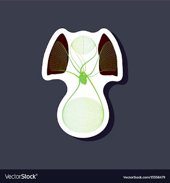 Paper sticker on stylish background circulatory vector image