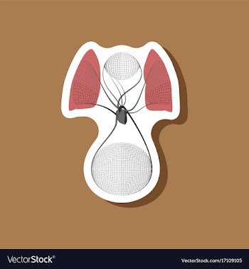 Paper sticker on stylish background circulatory vector image