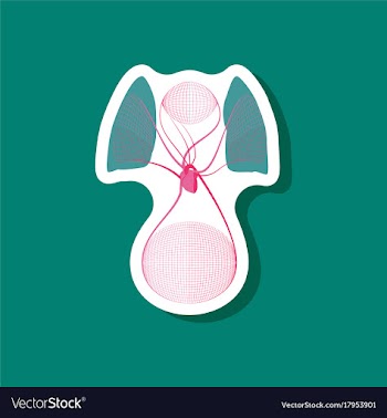 Paper sticker on stylish background circulatory vector image