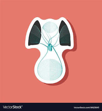 Paper sticker on stylish background circulatory vector image