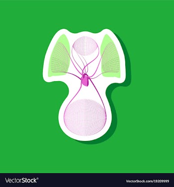 Paper sticker on stylish background circulatory vector image