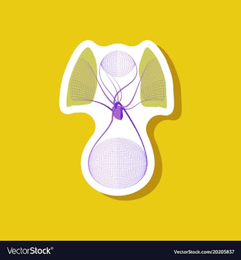 Paper sticker on stylish background circulatory vector image