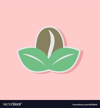 Paper sticker on stylish background coffee bean vector image