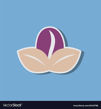 Paper sticker on stylish background coffee bean vector image