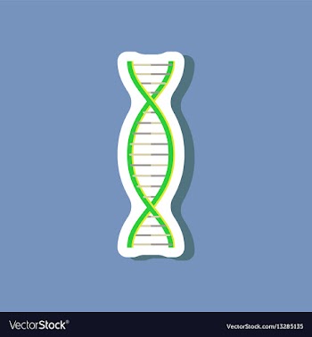 Paper sticker on stylish background dna vector image