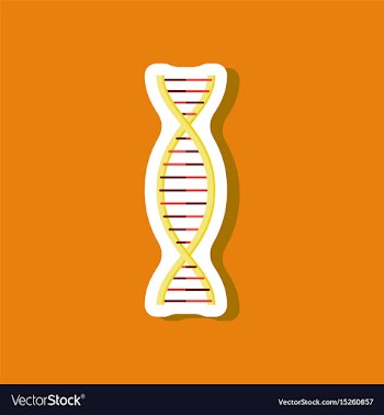 Paper sticker on stylish background dna vector image