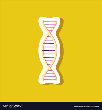 Paper sticker on stylish background dna vector image