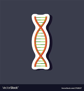 Paper sticker on stylish background dna vector image