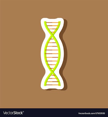 Paper sticker on stylish background dna vector image